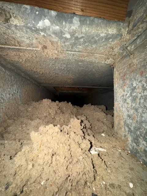 Air duct cleaning result #3 - before