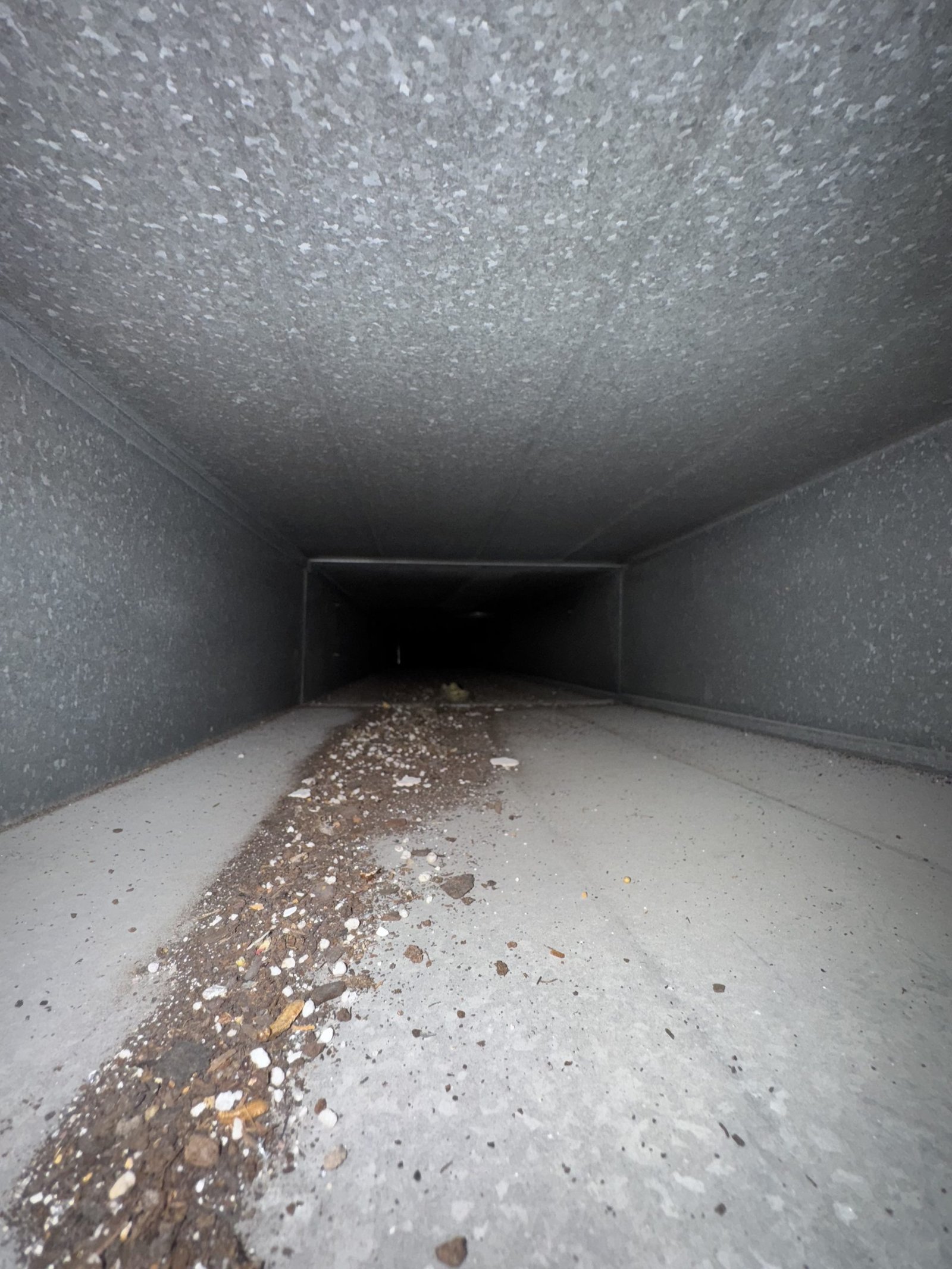 Air duct cleaning result #9 - before