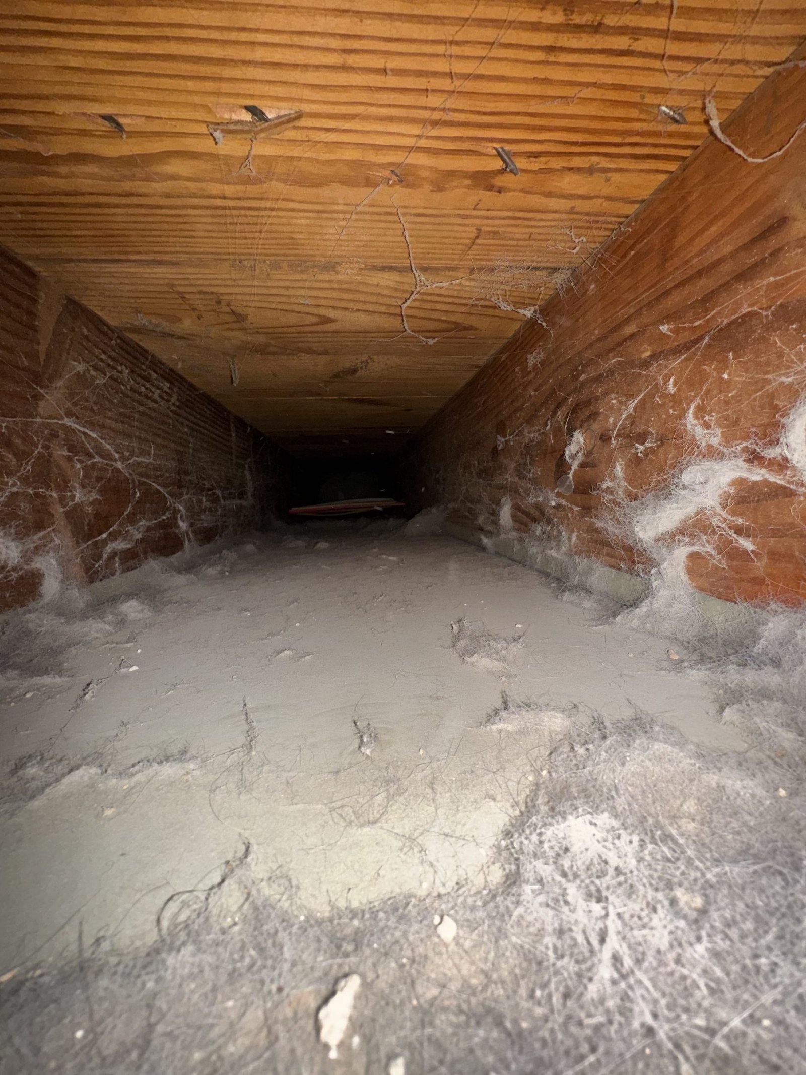 Air duct cleaning result #10 - before