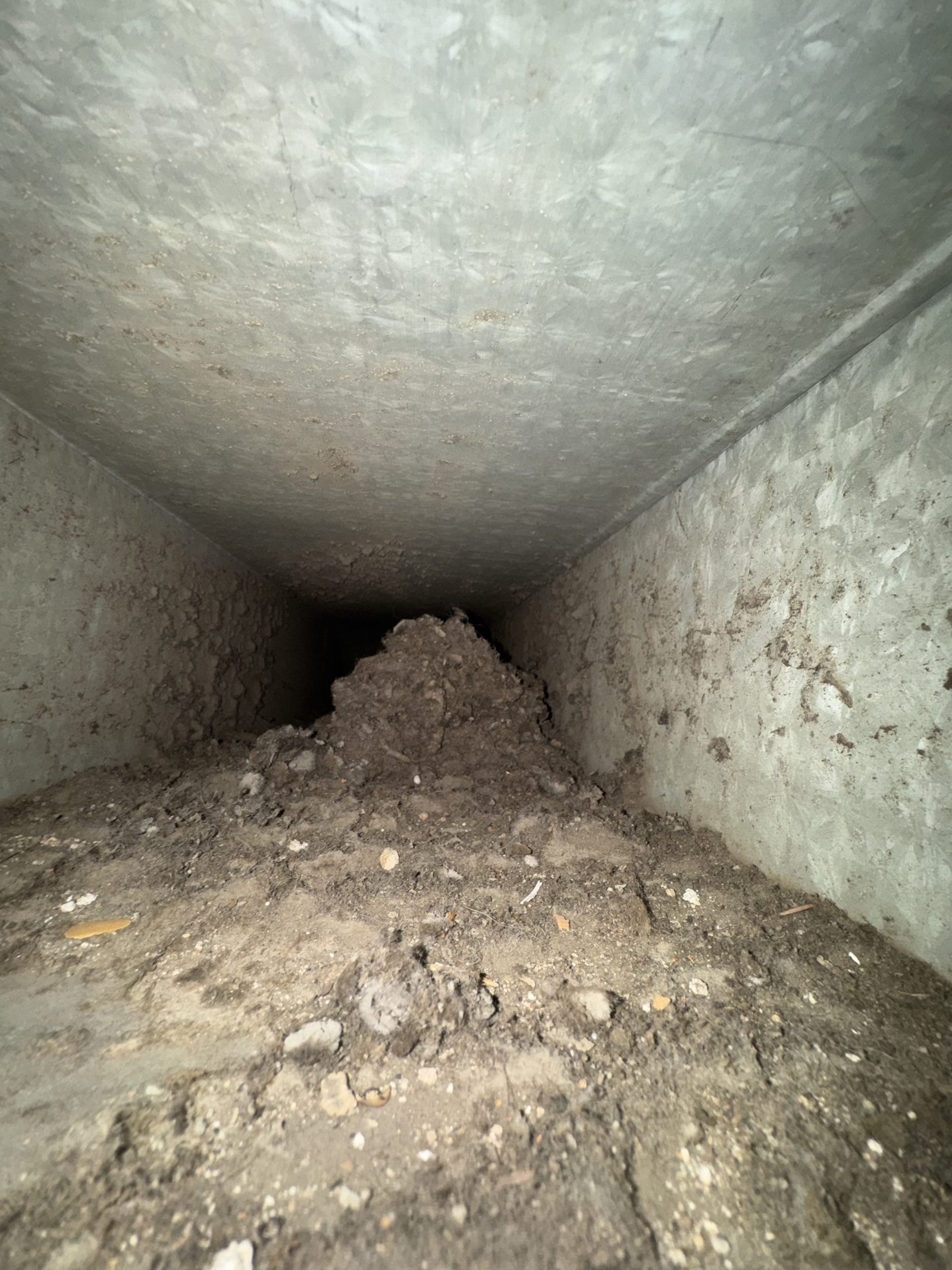 Air duct cleaning result #14 - before