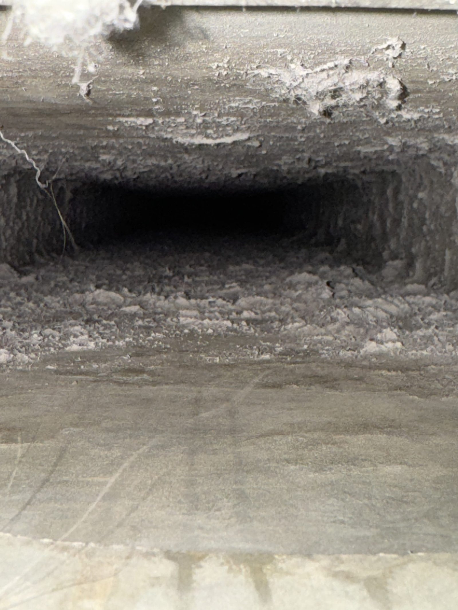 Air duct cleaning result #17 - before