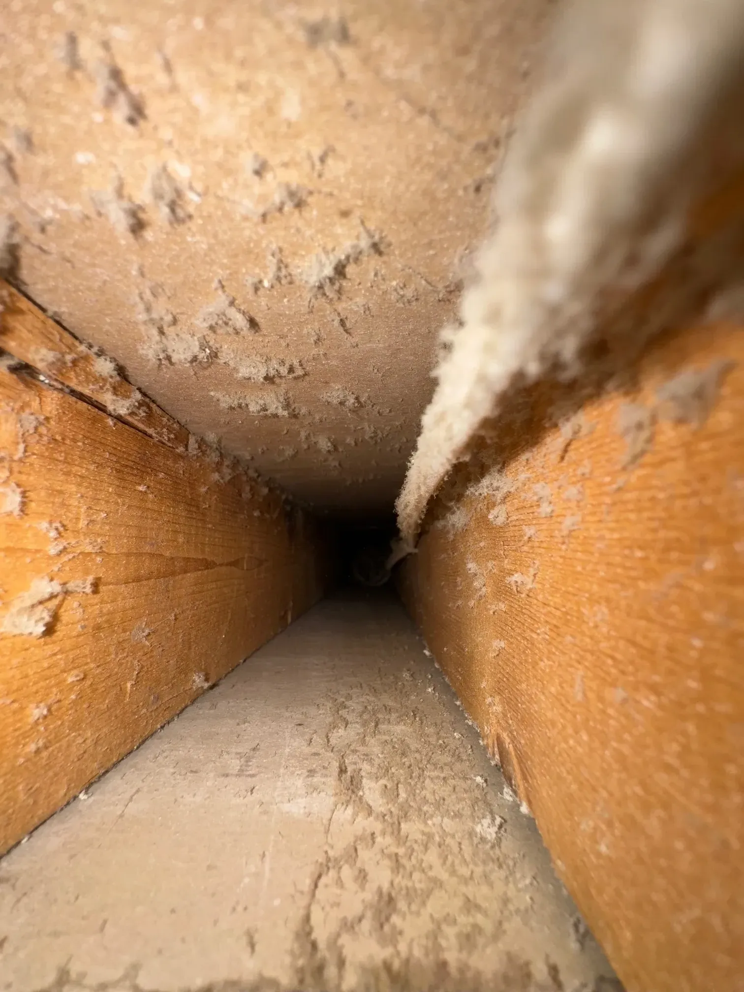 Air duct cleaning result #19 - before