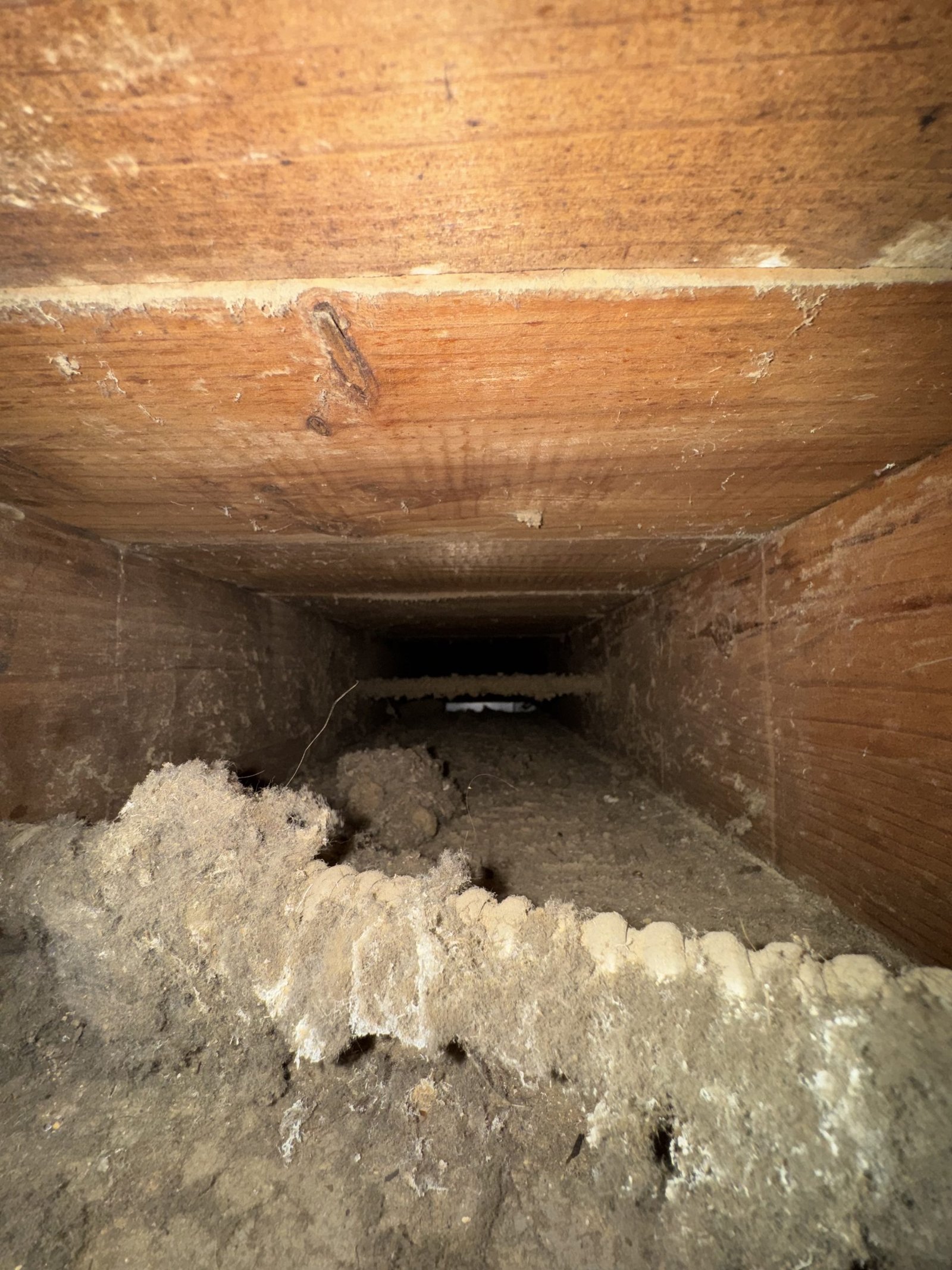 Air duct cleaning result #23 - before