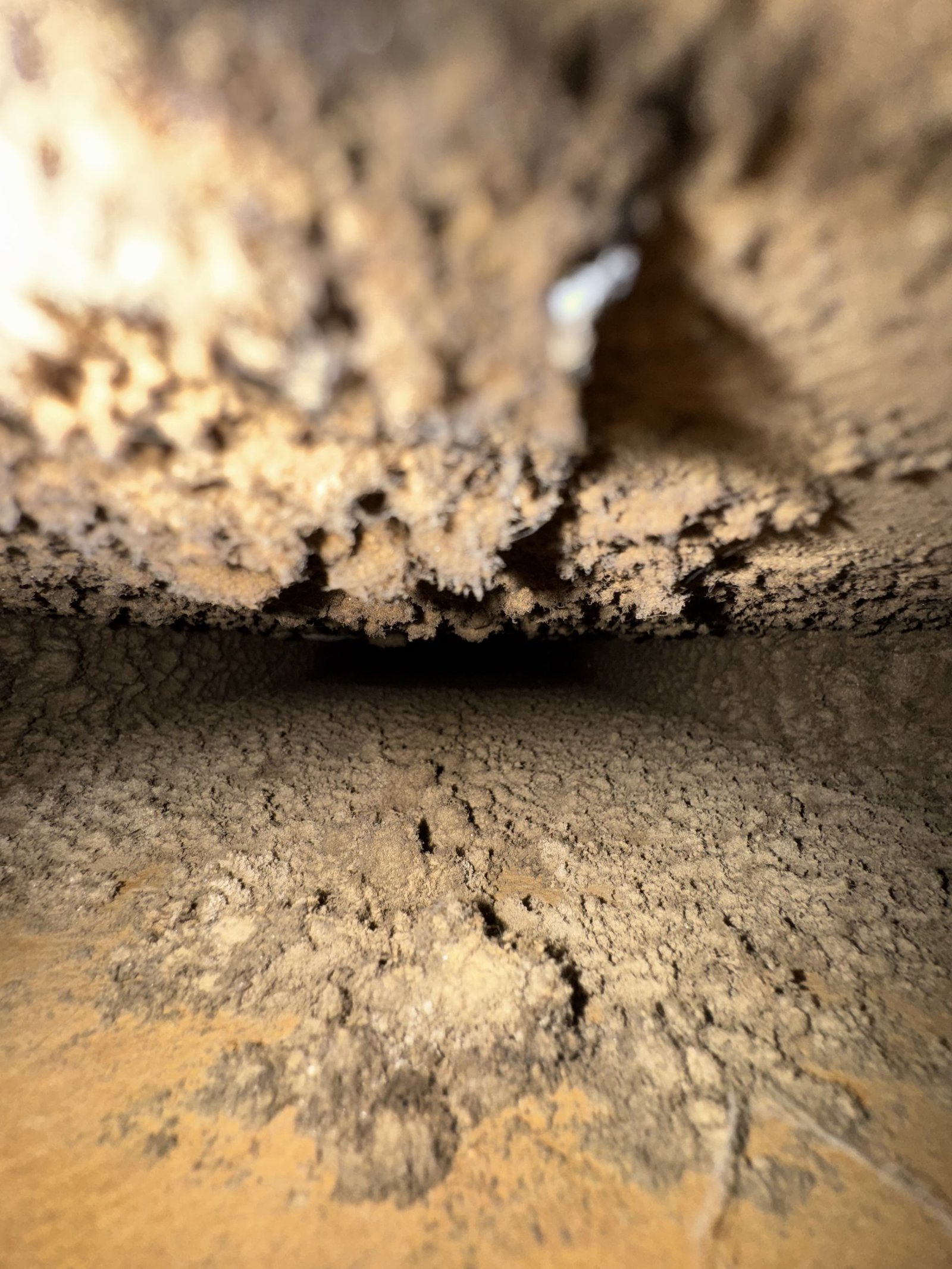 Air duct cleaning result #25 - before