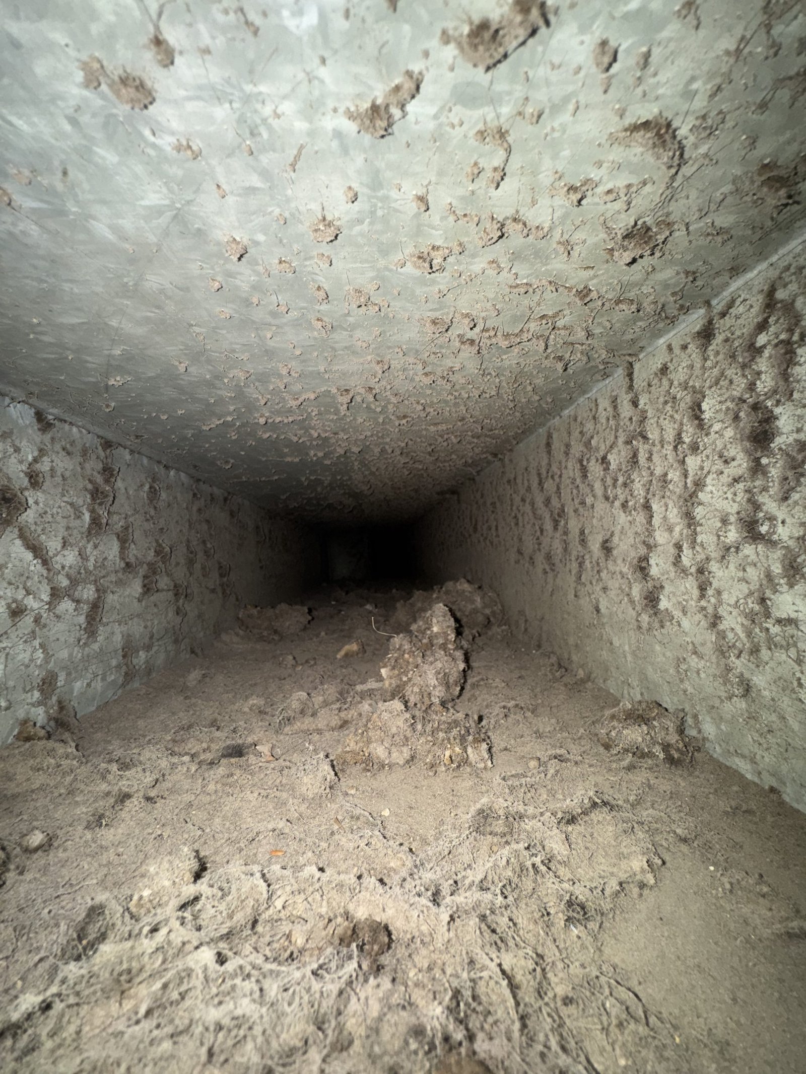 Air duct cleaning result #32 - before