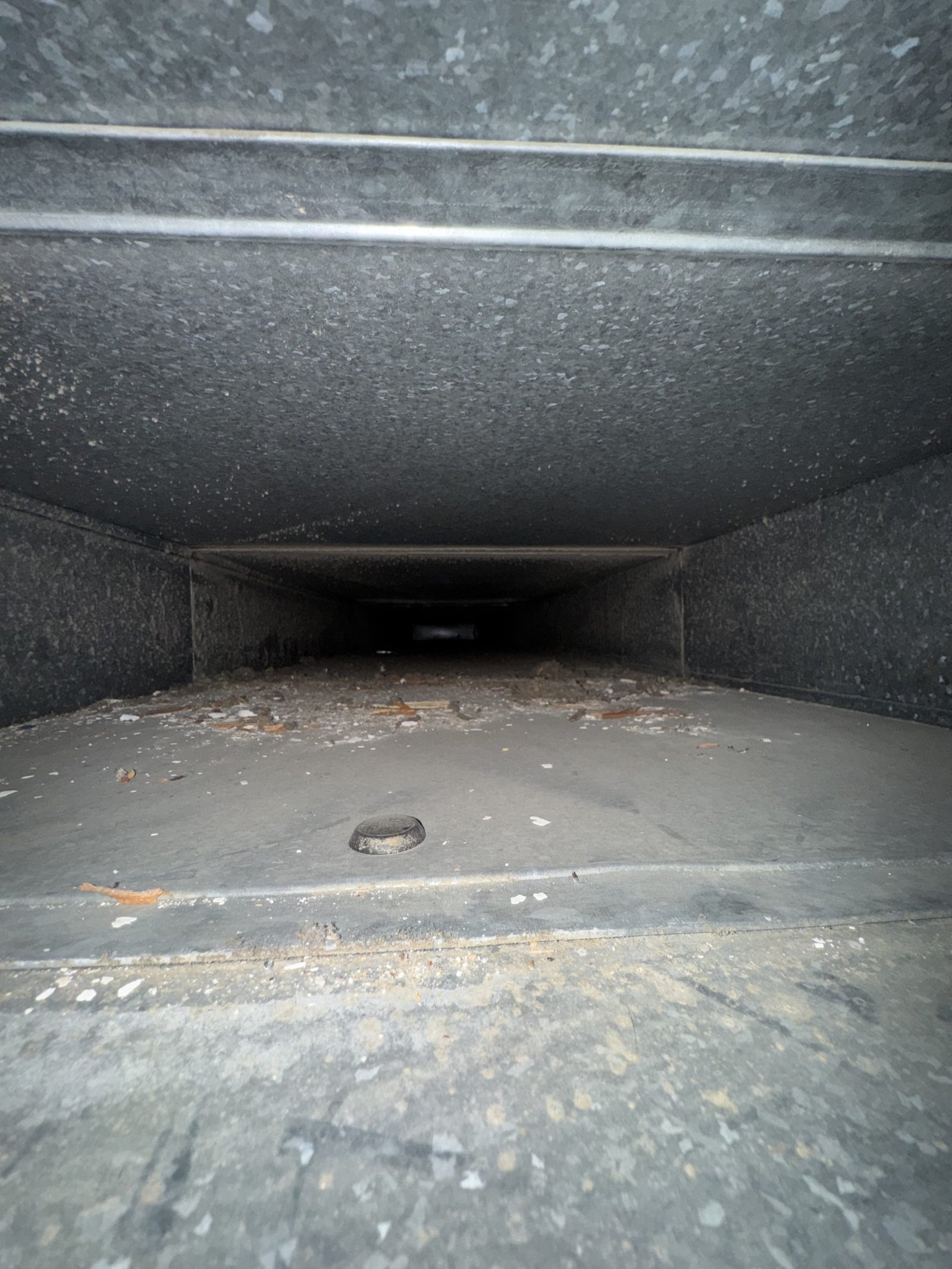 Air duct cleaning result #36 - before
