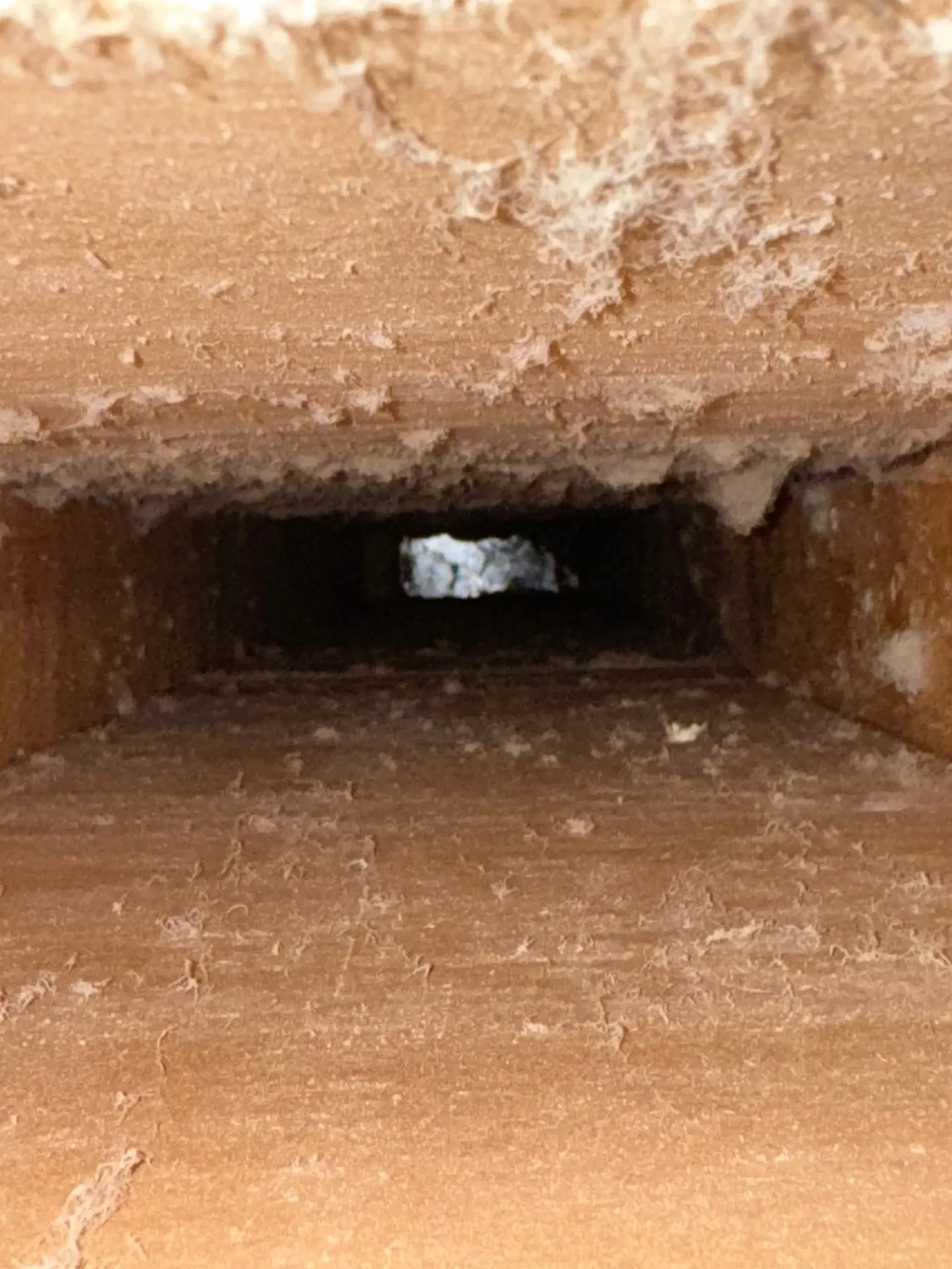 Air duct cleaning result #39 - before