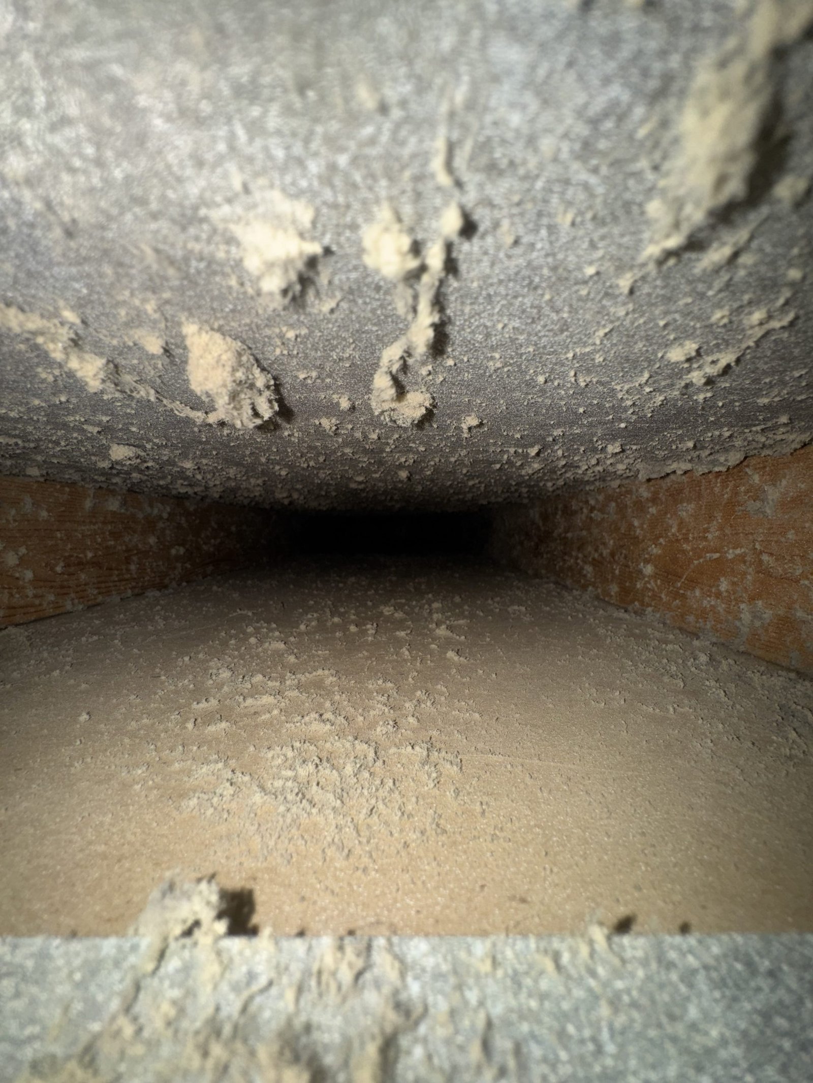 Air duct cleaning result #42 - before