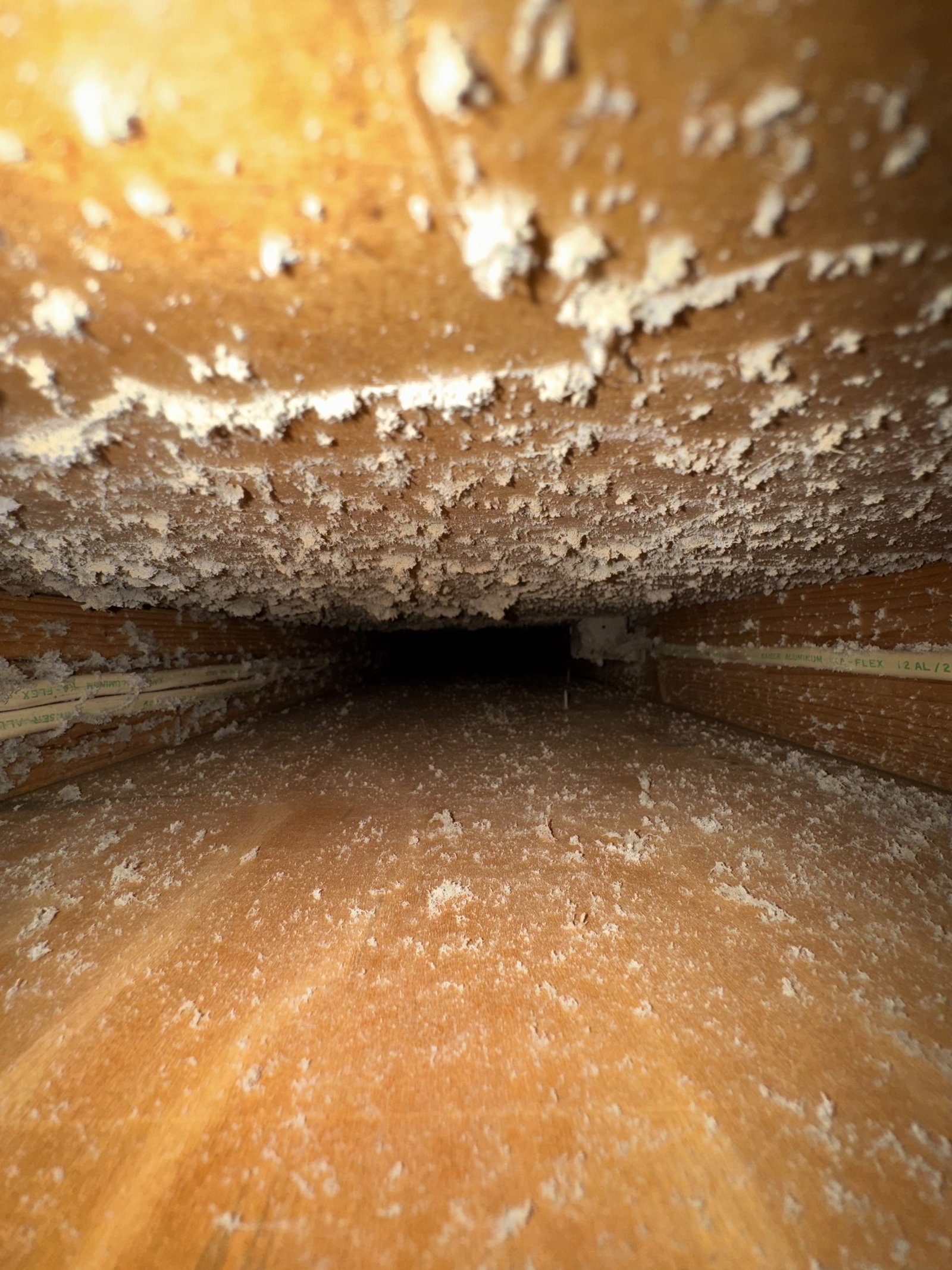 Air duct cleaning result #43 - before