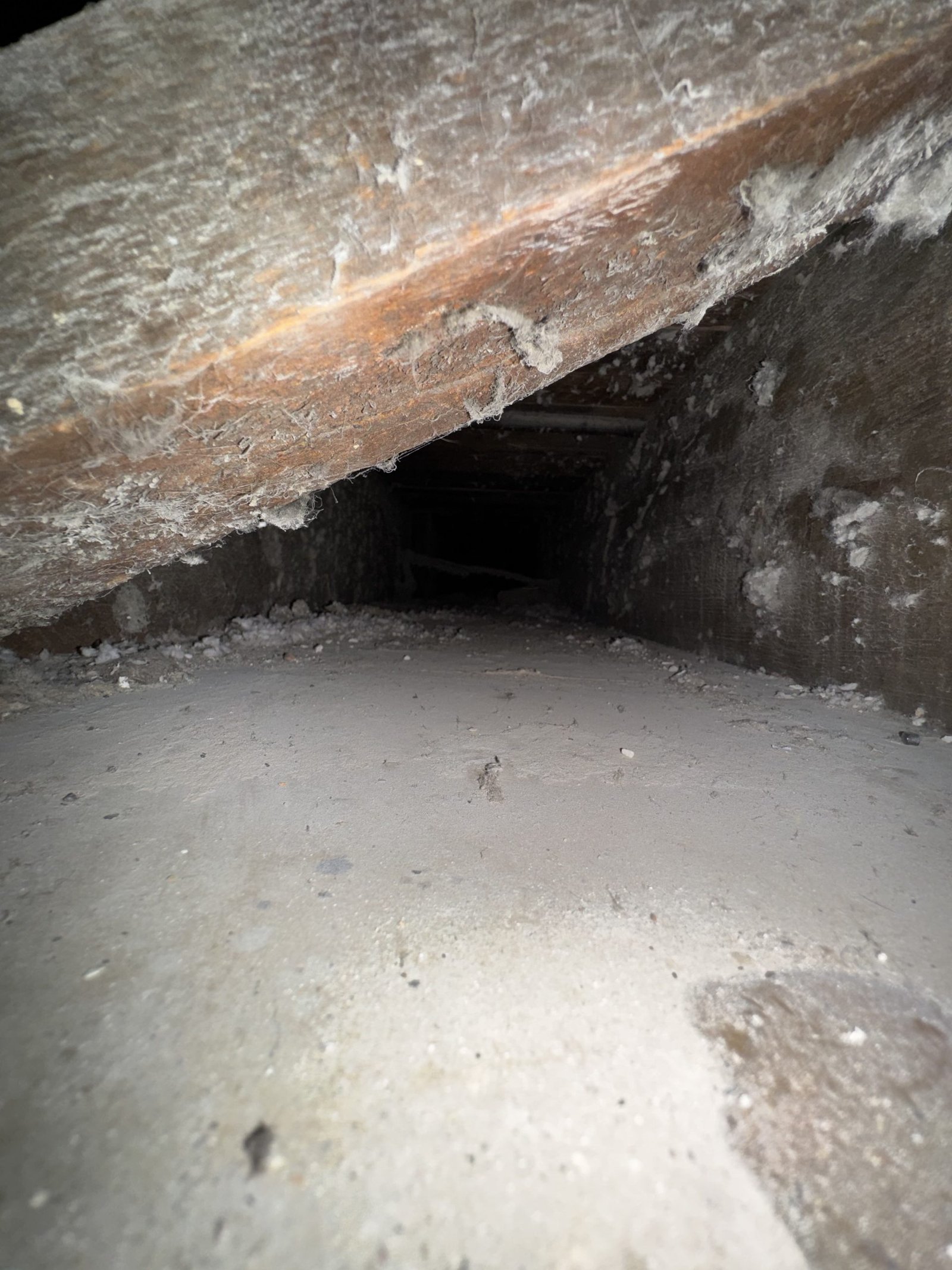 Air duct cleaning result #46 - before