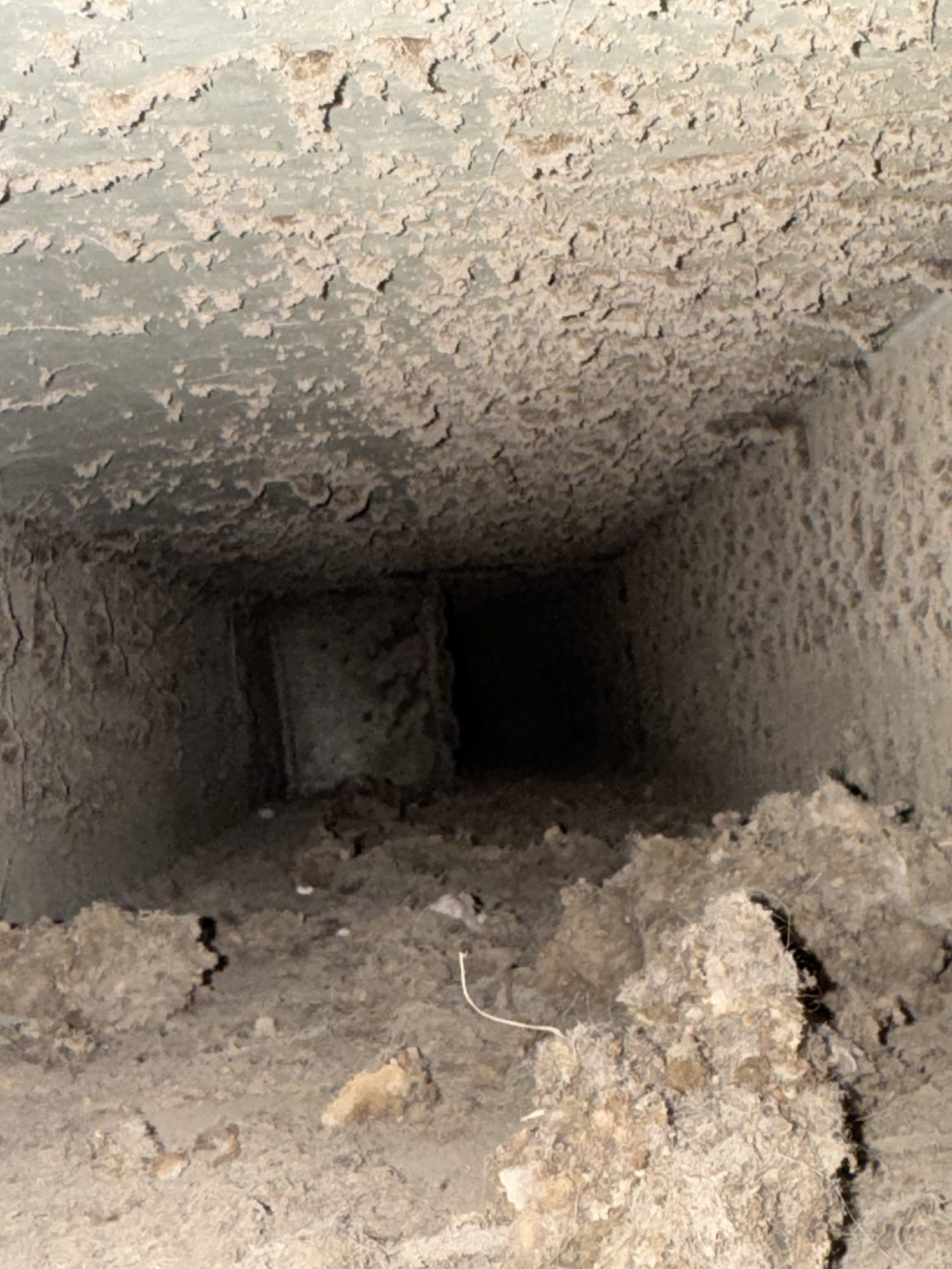 Air duct cleaning result #49 - before