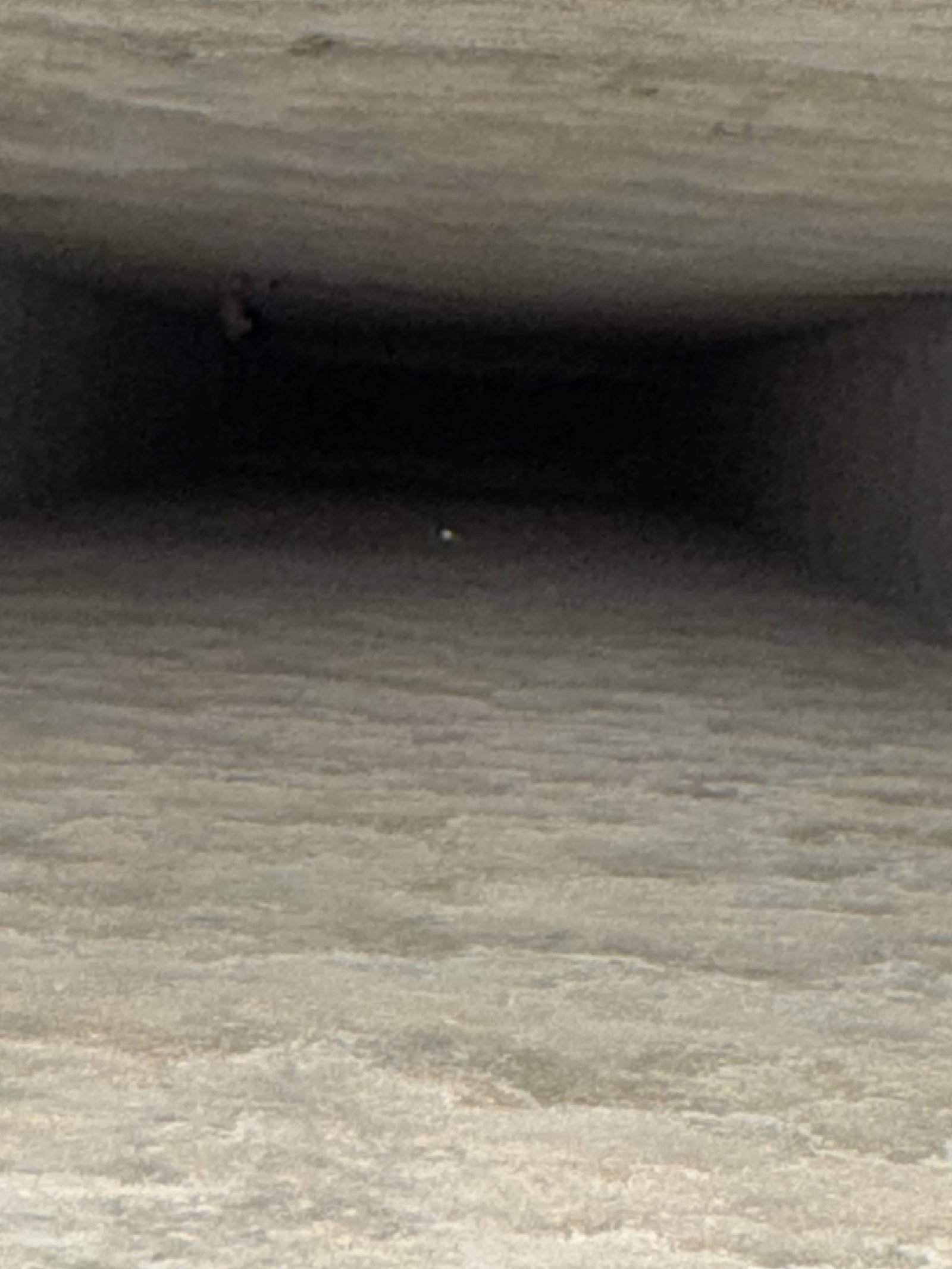 Air duct cleaning result #51 - after