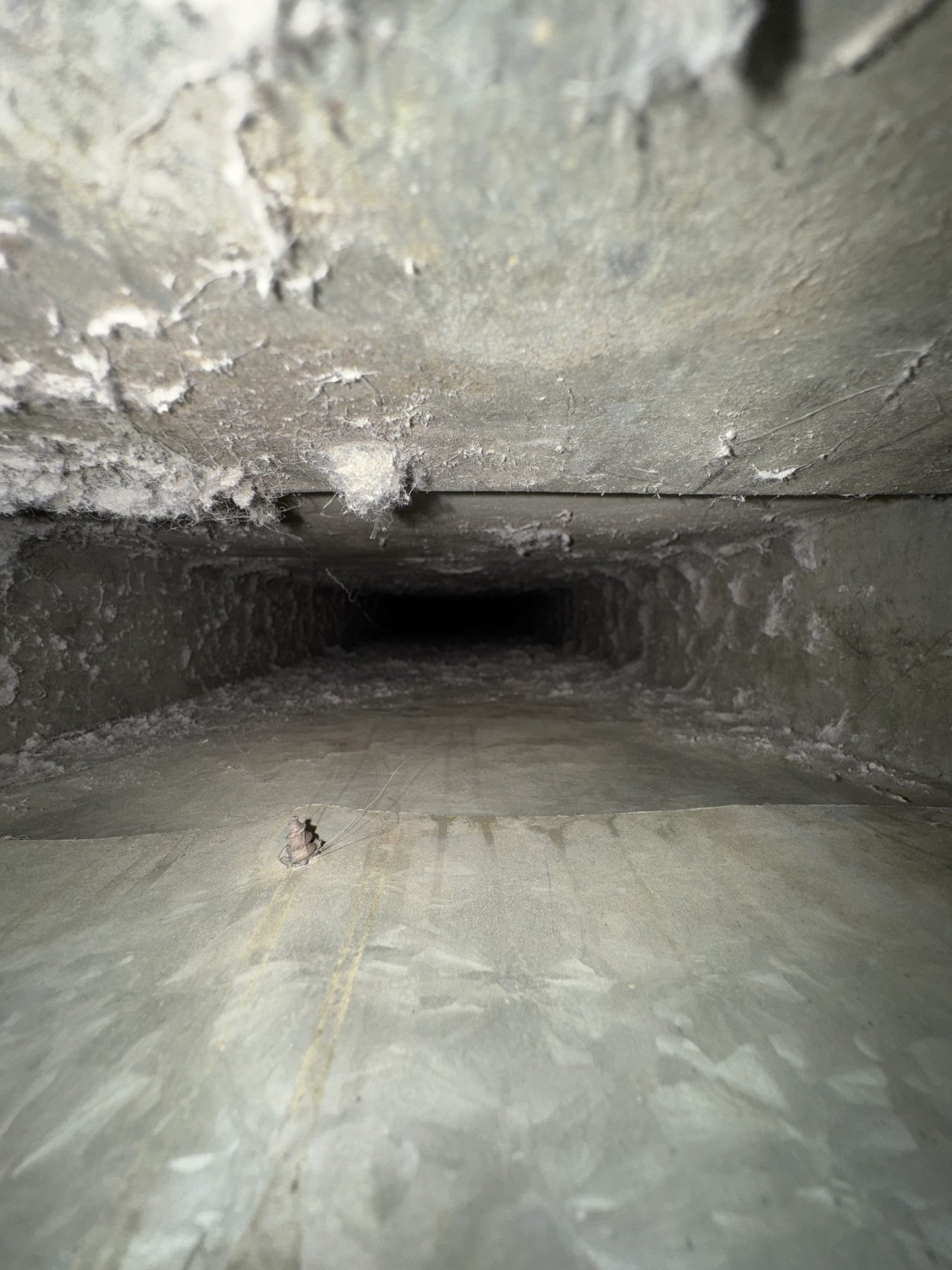 Air duct cleaning result #52 - before