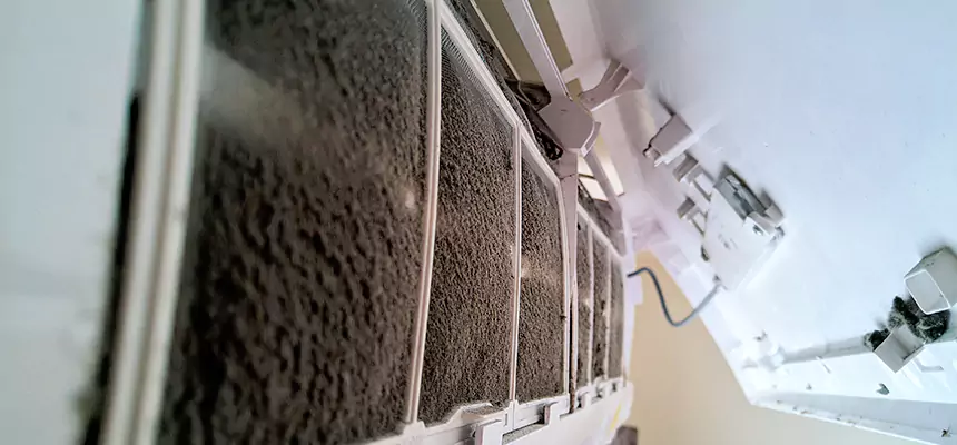 Antibacterial and Fungal Treatment in Wildwood, MO