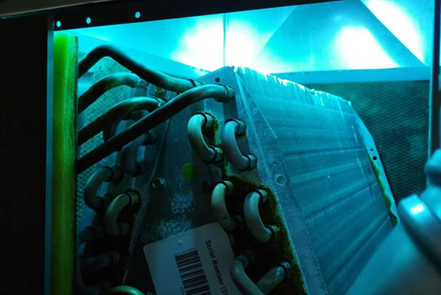 UV Light Installation in Kirkwood, MO