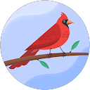 Zijin Du profile picture